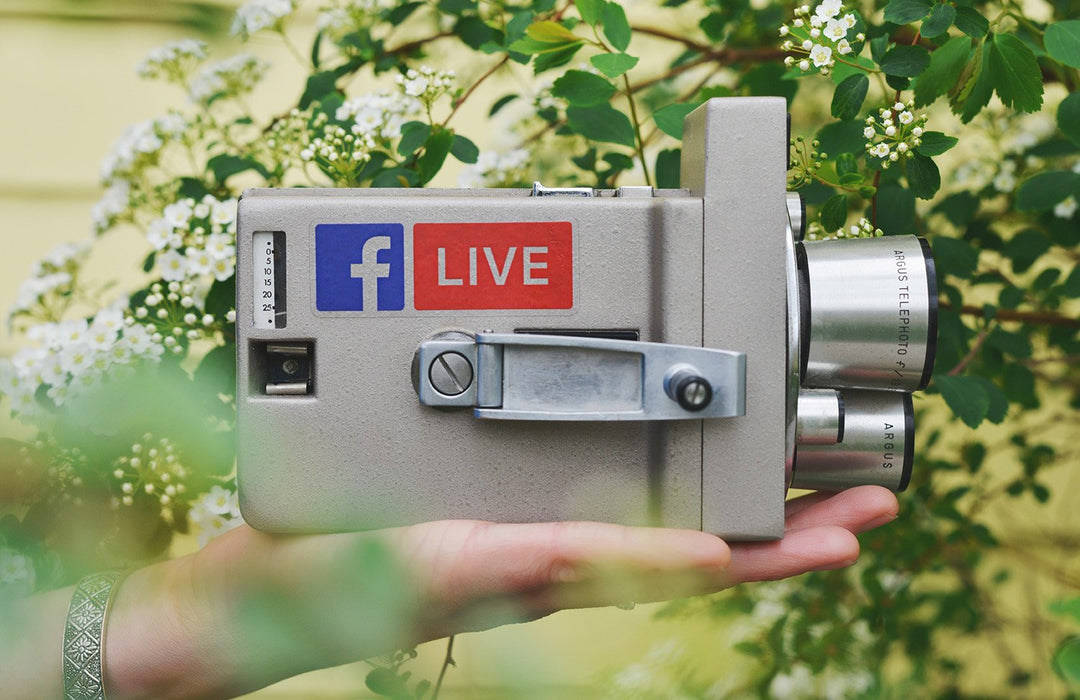 3 Easy Ways To Build Your Audience as an Influencer