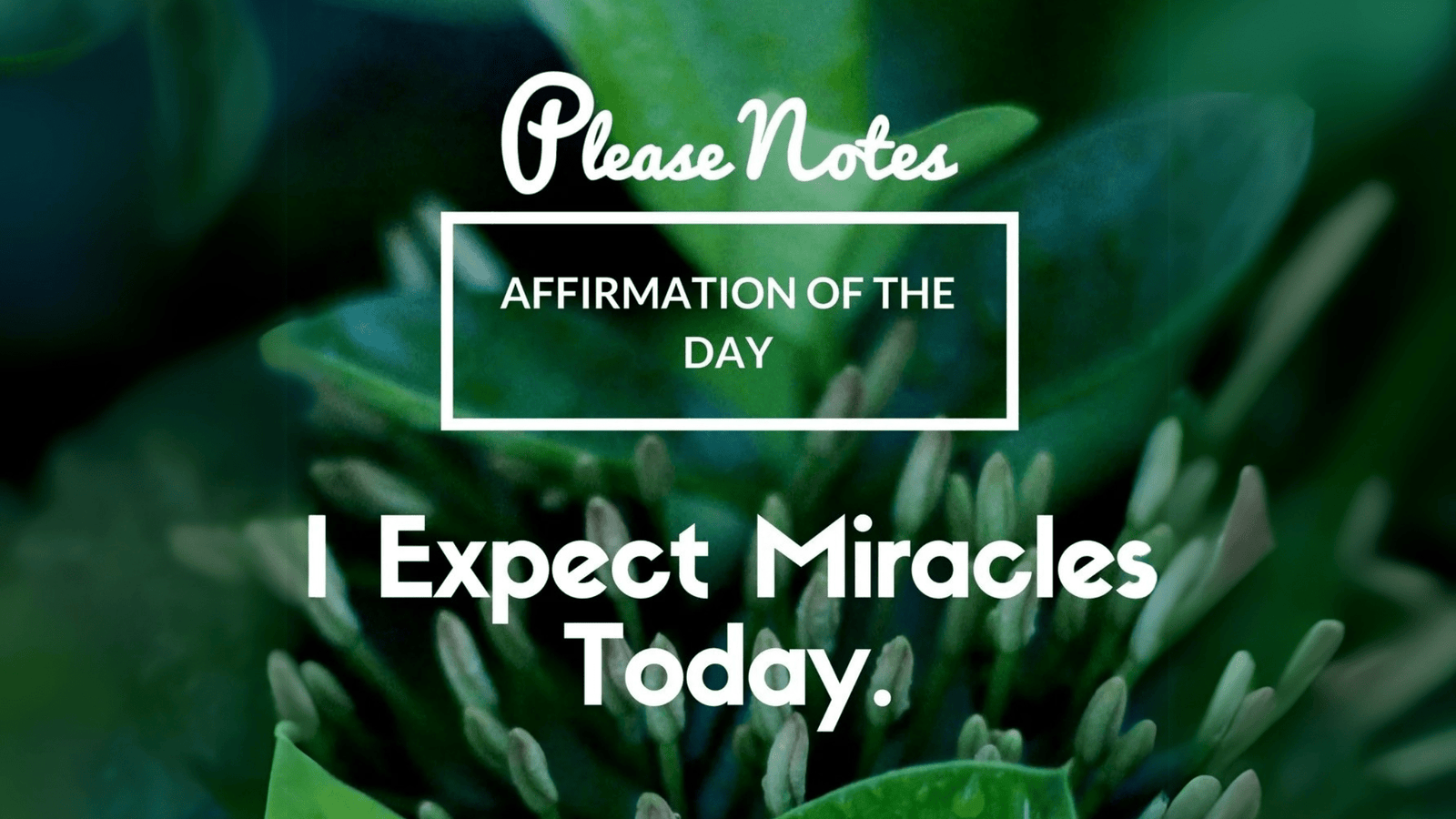 Ready. Set. Go. Here's 31 Affirmations to Make 2024 Best Year Ever. - PleaseNotes