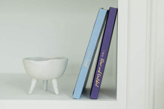 The Guided Clarity Journal - PleaseNotes-Journal