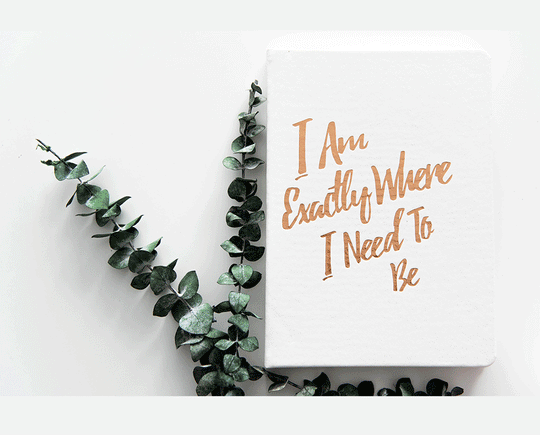 The Guided Gratitude Journal - PleaseNotes-Journal