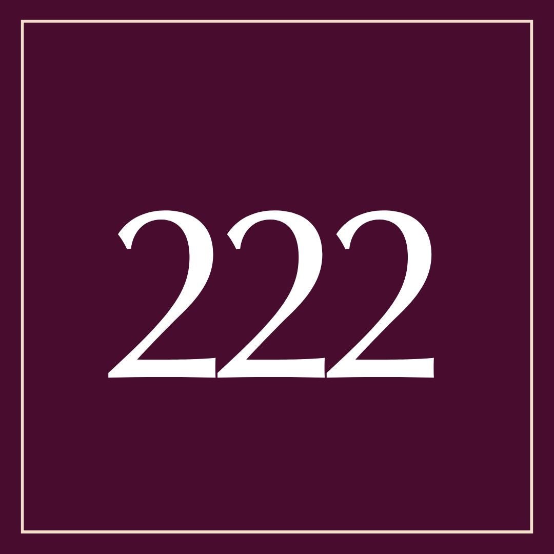 What Does 222 Mean?