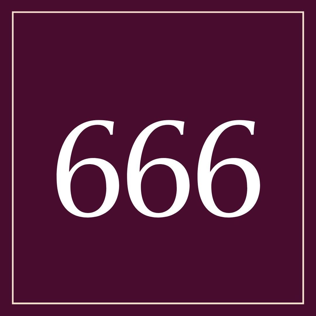 What Does 666 Mean?