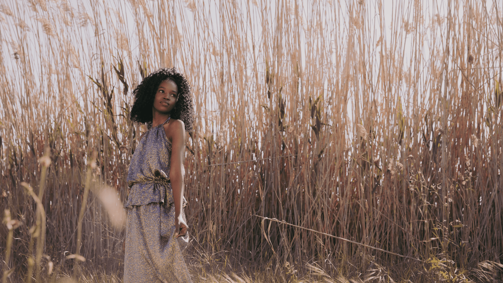 When Your Purpose Changes: Why It’s Okay and How to Find Direction Again - PleaseNotes