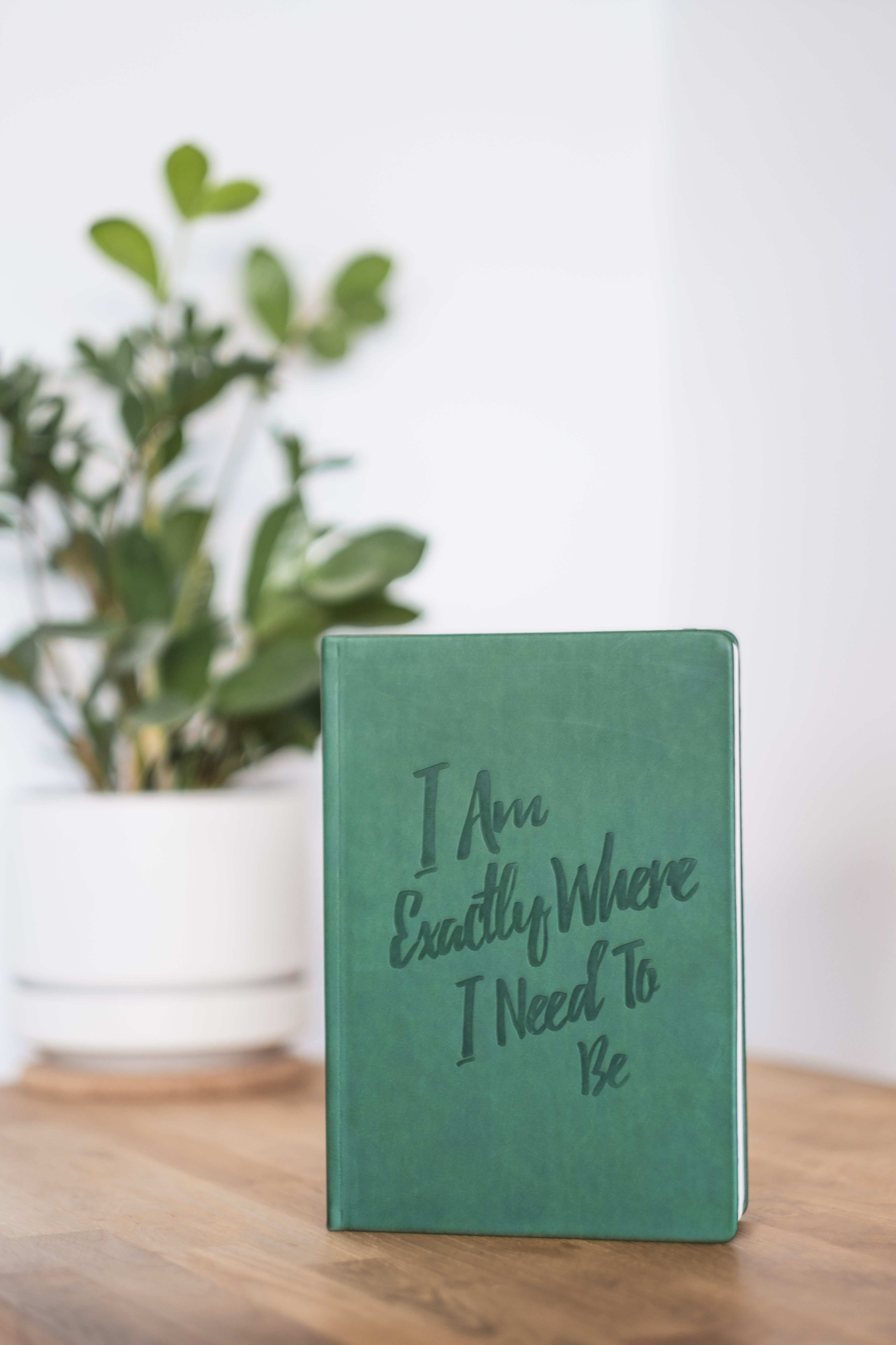 Bestsellers Sale - PleaseNotes