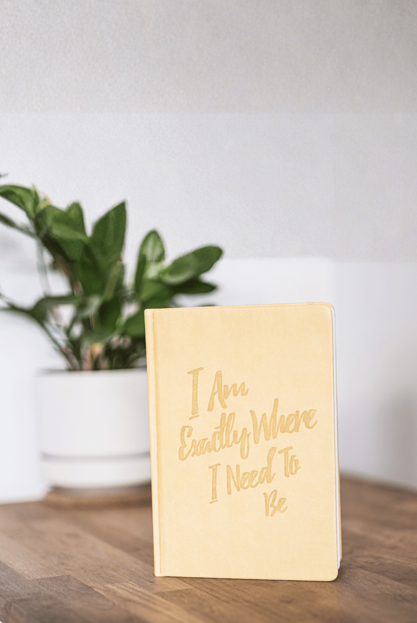 The Guided Gratitude Journal for Anxiety Relief - PleaseNotes - Journal