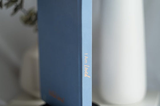 The Guided Gratitude Journal for Anxiety Relief - PleaseNotes - Journal