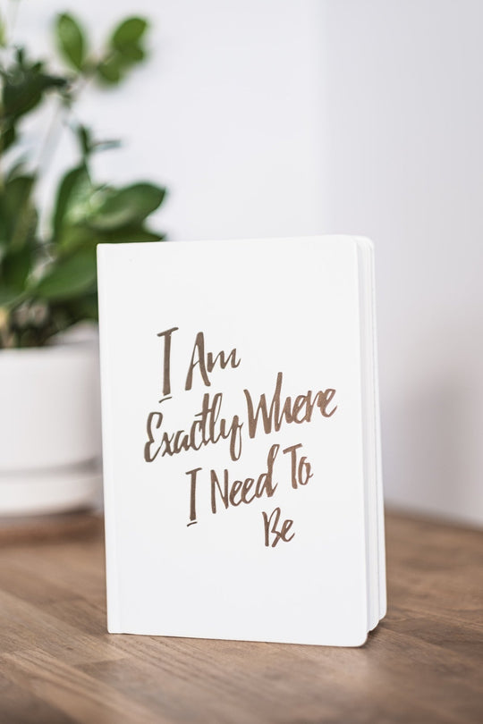 The Guided Gratitude Journal for Anxiety Relief - PleaseNotes - Journal