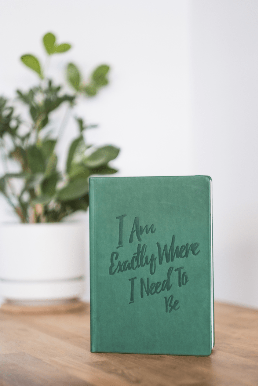The Guided Gratitude Journal for Anxiety Relief - PleaseNotes - Journal