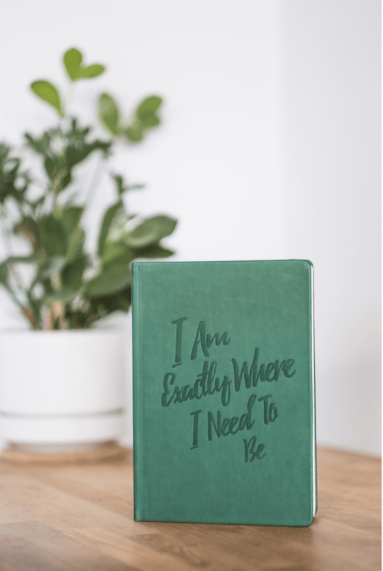 The Guided Gratitude Journal for Anxiety Relief - PleaseNotes - Journal