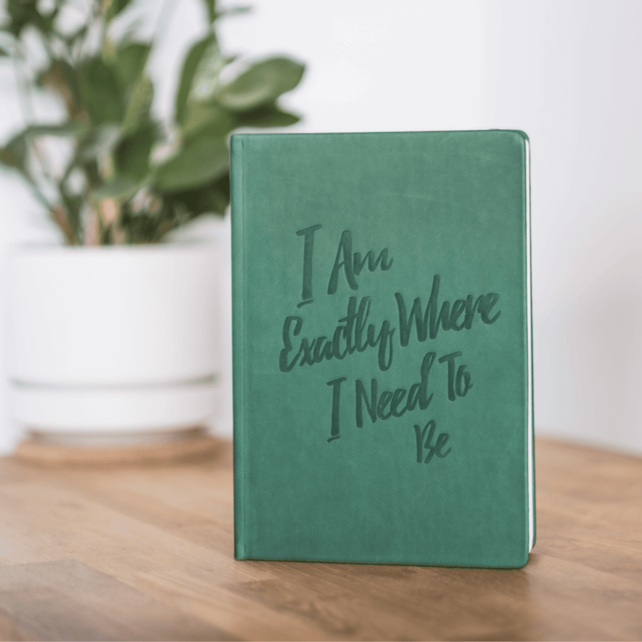 The Guided Gratitude Journal for Anxiety Relief - PleaseNotes - Journal