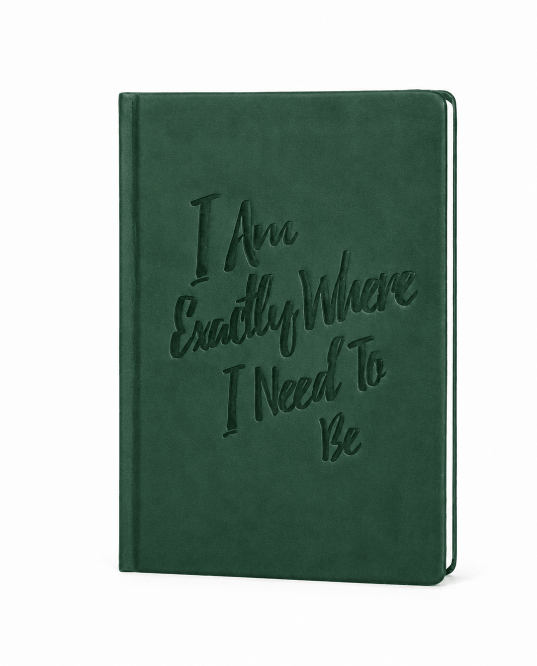 The Guided Gratitude Journal for Stress Relief - PleaseNotes-Journal