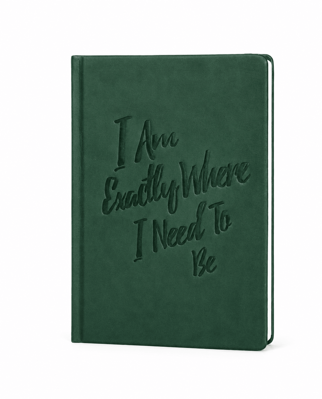 The Guided Gratitude Journal for Stress Relief - PleaseNotes-Journal